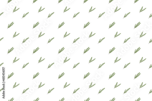 rosemary leaf as seamless pattern background