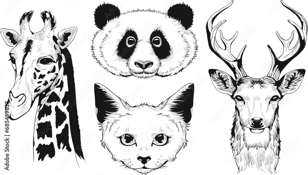 Obraz premium Set head animal vector sketch drawing isolated on white background