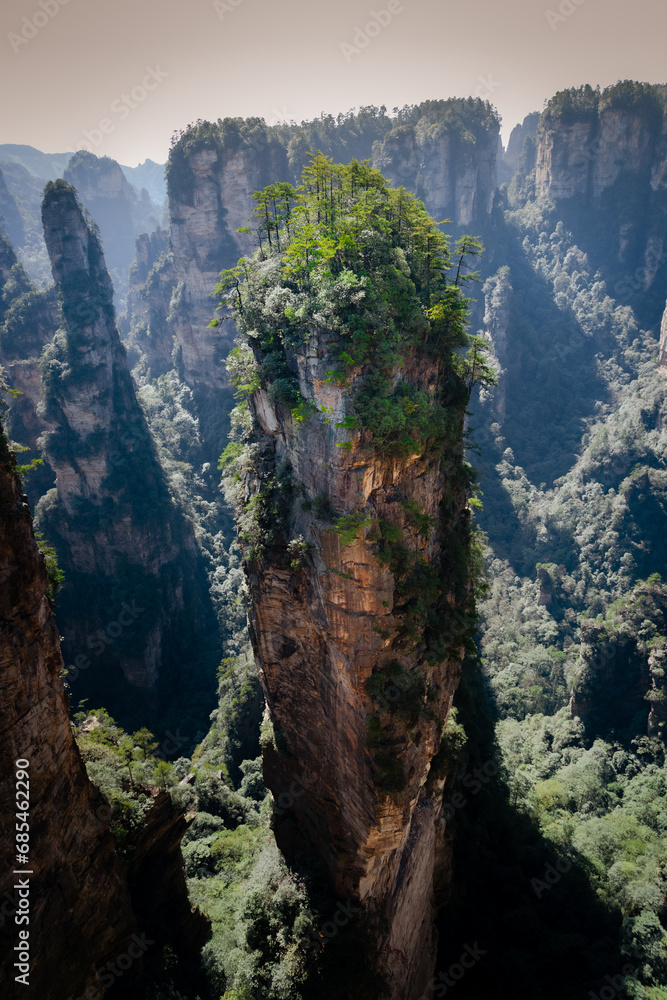 Fototapeta premium Awesome view of natural quartz sandstone pillars of the Tianzi Mountains (Avatar Mountains) in the Zhangjiajie National Forest Park ( Wulingyuan), Hunan Province, China. 