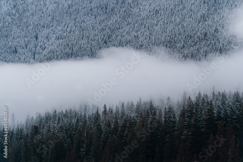 Cloudy winter day at Mt Baker with frosted trees in forest  photo