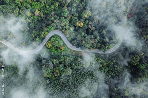 Forest road and morning fog, high angle