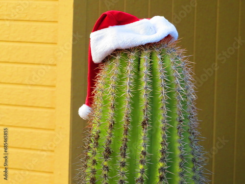 cactus with Santa hat