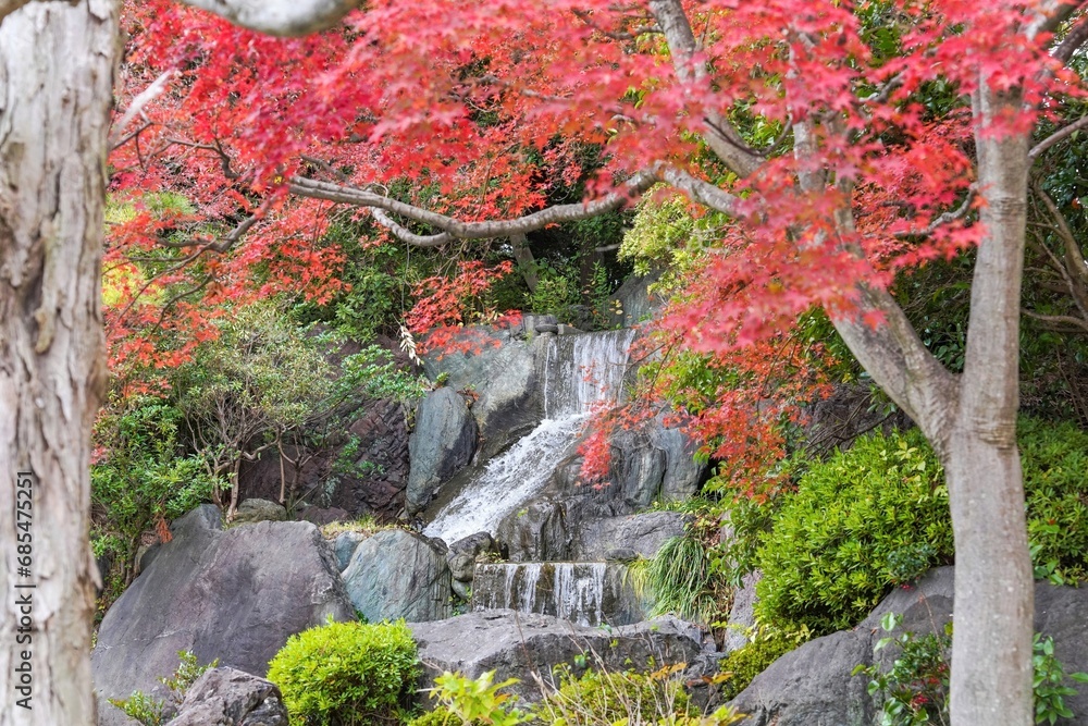 きれいに色づいたモミジの紅葉越しに見る滝の情景