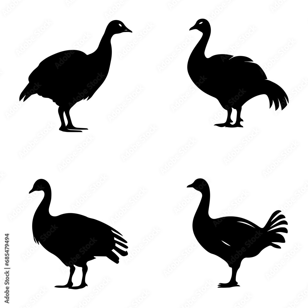 Fototapeta premium silhouette of a turkey
