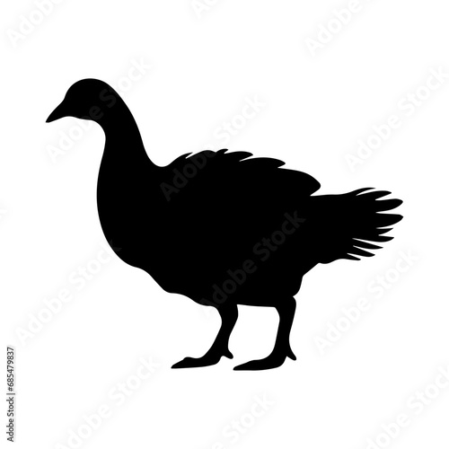 silhouette of a turkey