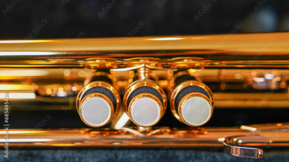 Obraz premium 金管楽器・トランペットの写真