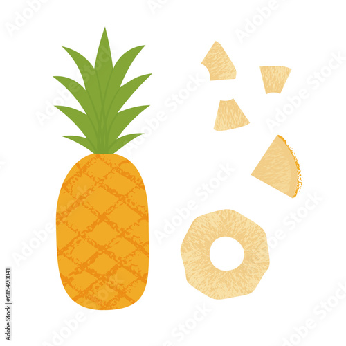 Pineapple slice. Summer fruits textured. Hand drawn organic vector illustration