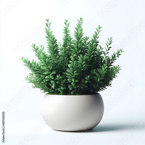 Green fresh indoor plants collection Light living room indoor plants in white ceramic pot with white background, enhancing the beauty of the home with their fresh and decorative charm