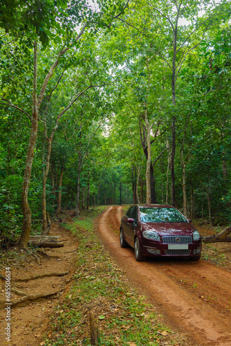 Portrait view of A beautiful Red colour Car in the Dense Forest of India.