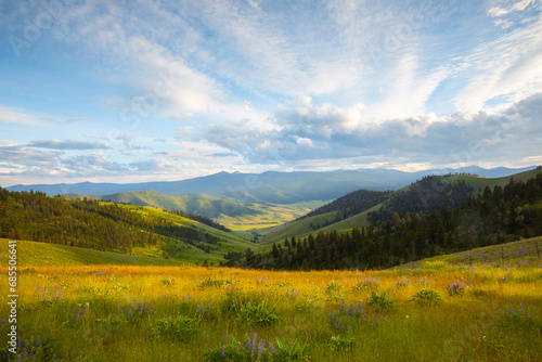Spring or summer landscape with mountains green fields, and wild land of Montana