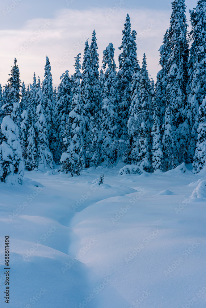 Fototapeta premium The Olterudelva River passing through the Hemningsdalen Valley of the Totenaasen Hills, Norway, in winter.