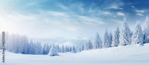 Winter landscape with snowy woods, blurred background, and panoramic view, suitable for design.