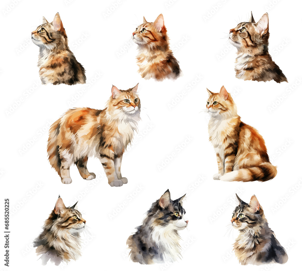 Vector watercolor cat, domestic cat watercolor vector illustration