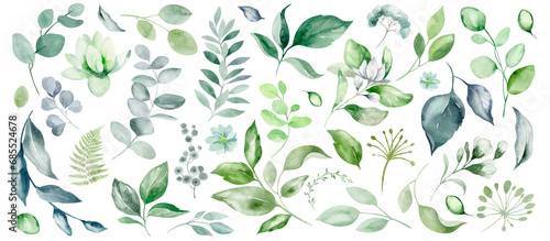 Fototapeta Naklejka Na Ścianę i Meble -  Set of green leaves and flowers on an isolated background. Watercolor botanical vegetation  leafset hand drawn. Herbal clipart of fresh plants. Exotic assortment of foliage.