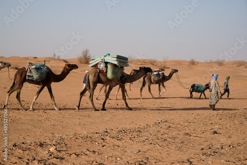 Cammelli in Marocco