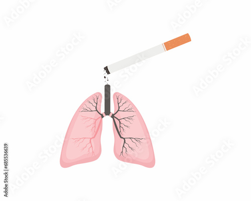 Damaged lung with cigarette smoking is harmful to human organs stop smoking vector illustration