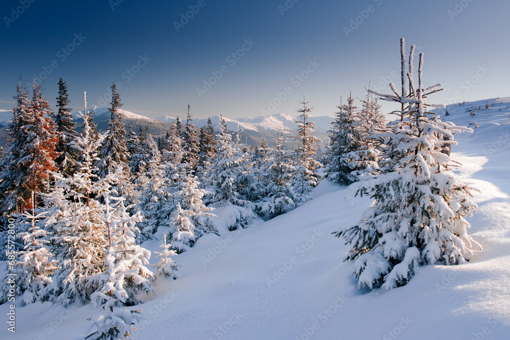 Obraz premium winter landscape