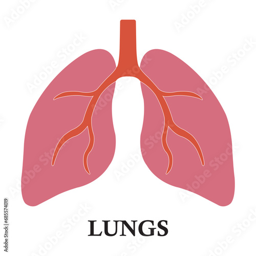 Lung icon