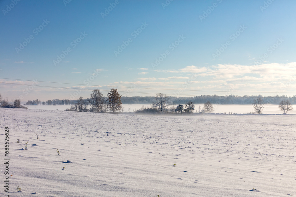 winter landscape with snow and trees winter landscape with snow and trees