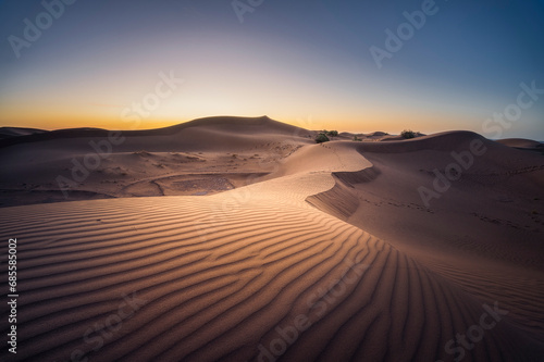 Sahara Marocchino