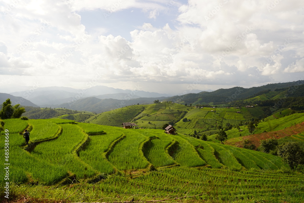Rice terraces at Doi Inthanont Chiang Mai