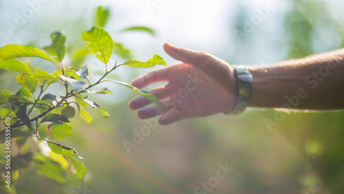 A man's hand touching grass. Caring for the environment. The ecology the concept of saving the world and love nature by human © shaploff