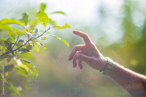 A man's hand touching grass. Caring for the environment. The ecology the concept of saving the world and love nature by human