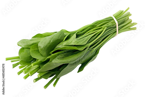 Nature's Bounty Water Spinach Insights Isolated on transparent background