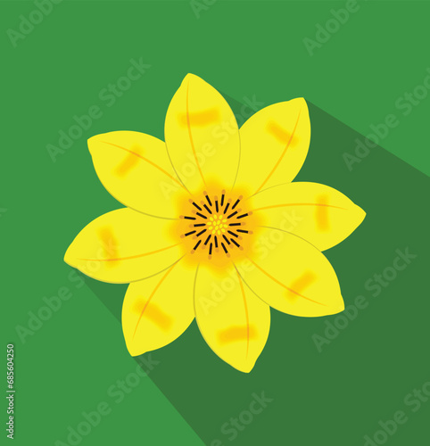 Adey Abeba (yellow Ethiopian new year seasonal flower) on green background. High Quality Illustration