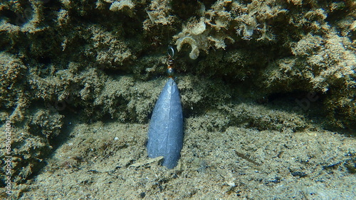 Photos Rubbish from fishing gear on sea bottom, Aegean Sea, Greece, Halkidiki