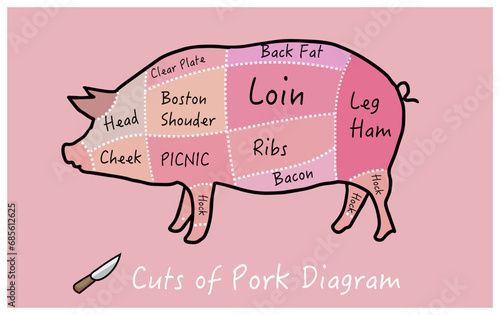 butcher cut main cuts of pork