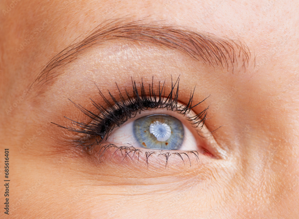 Obraz premium Eyes, woman and closeup with eyelashes, makeup and vision with iris. Zoom, macro and eyeball of a female model for optometry, future and retina for perspective and cosmetics with lash extensions