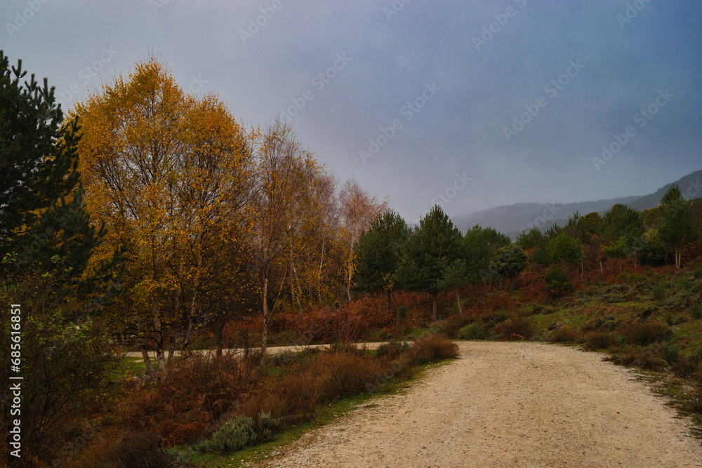 Fototapeta premium road mountain landscape scenic cloud nature outdoor tree autumn