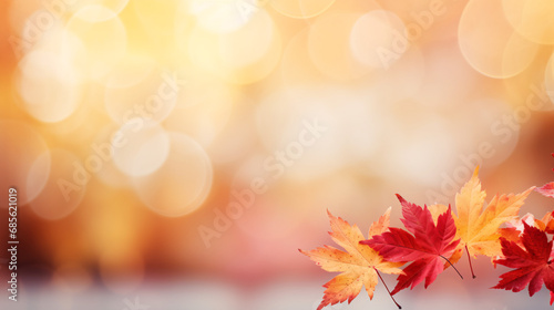 Autumn Elegance End-of-Year Web Banner with Red and Yellow Maple Leaves  Soft Focus Light  and Bokeh Background.