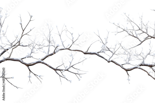 tree branches winter snow cover. Generative AI.