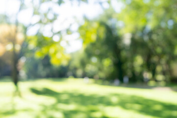 Defocused or blur with bokeh background of garden trees in sunny day