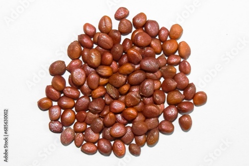 Hybrid Radish Seeds Photo Shoots by Dslr Cameras 
