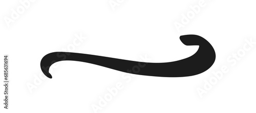 Swoosh and swoops underline typography tail shape. Brush drawn thick curved smear. Hand drawn curly swish, swash, squiggle, twiddle. Vector calligraphy doodle swirl. Vector Underlined icon.
