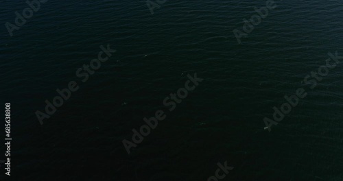 4k Drone Tilt Up Lake in Mountains