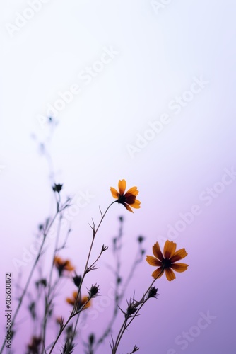 A closeup photo of yellow orange wildflowers in a field on a cloudy day, depth of field and bokeh, violet gradient background, generated by AI.