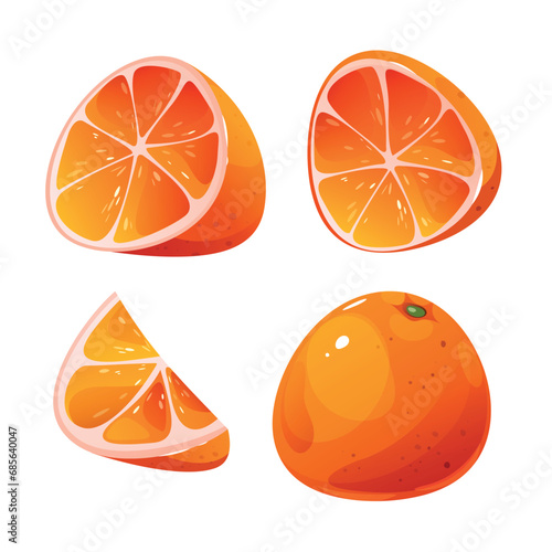 Orange fruit vector cartoon set. Citrus illustrations.