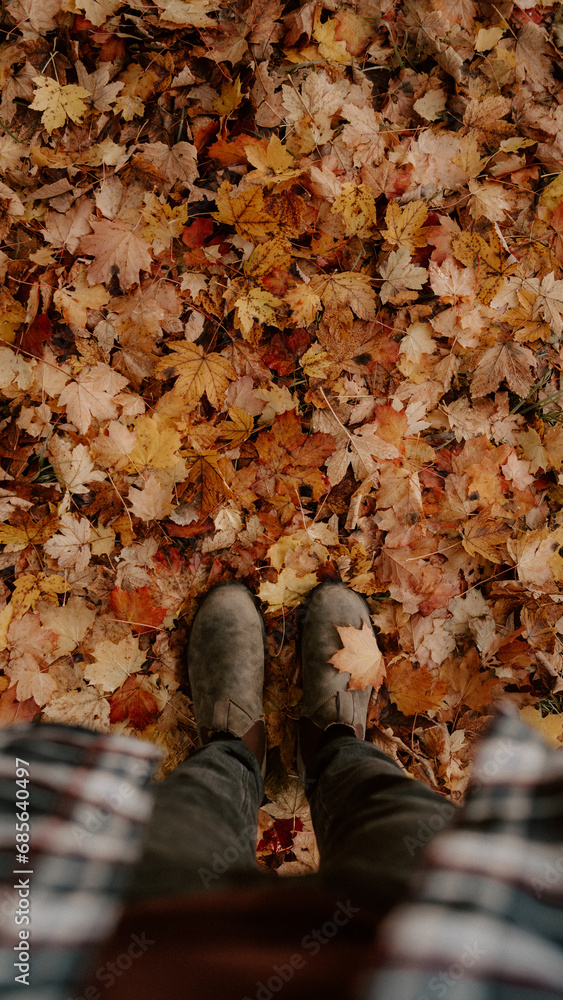 First person view looking down on colourful autumn leaves wearing brown leather boots