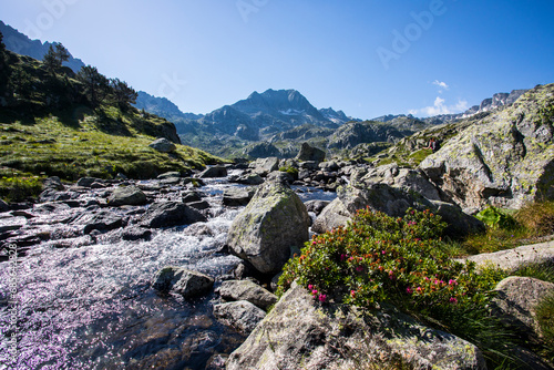 Summer landscape in Aiguestortes and Sant Maurici National Park, Spain