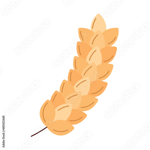 barley branch illustration