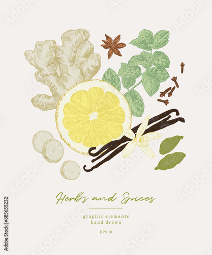 Hand drawn illustrations of spices and culinary herbs. Graphic elements for cook book design, restaurant menu and recipe sheets