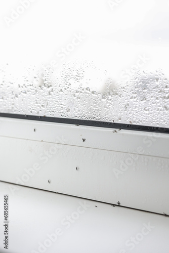 Photography Close up of many dead midges and water droplets condensation on white metal-plastic window and windowsill indoors apartment