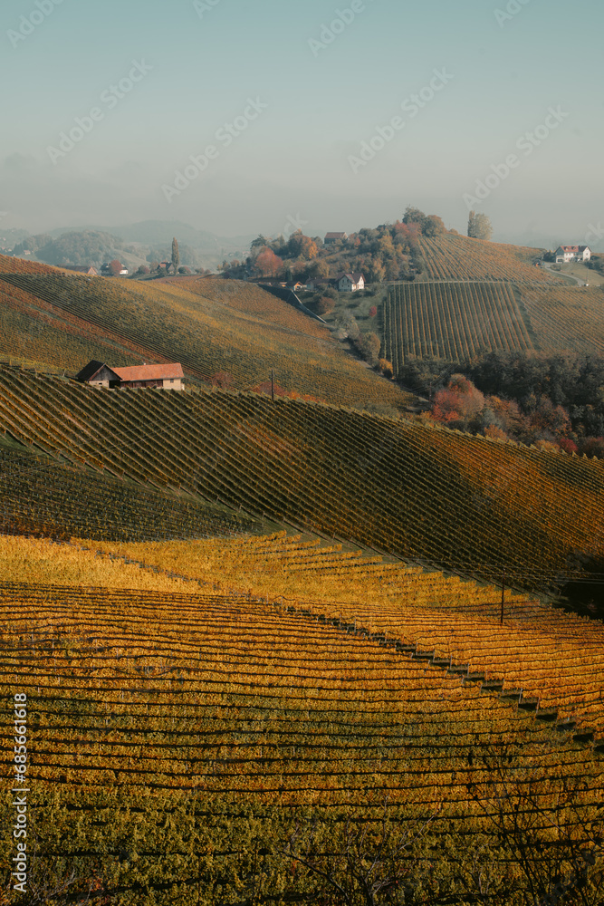 Südsteirische Weinstraße landscape with rolling hills and golden vineyards in fall, Styria, Austria