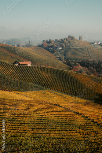 Obraz na płótnie Südsteirische Weinstraße landscape with rolling hills and golden vineyards in fall, Styria, Austria w salonie