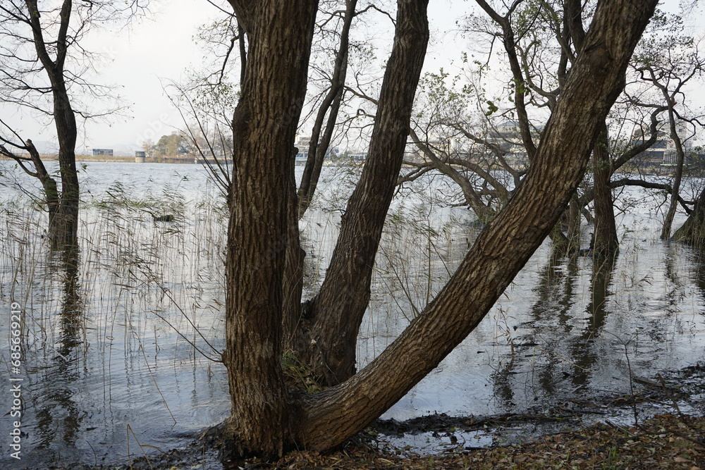아산 산정호수 아름다운 풍경입니다
