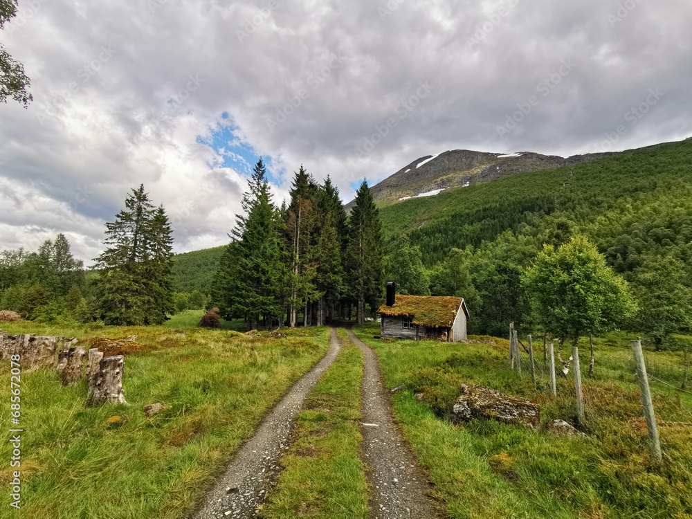 Road leading up to a cabin in the woods - highland scenery